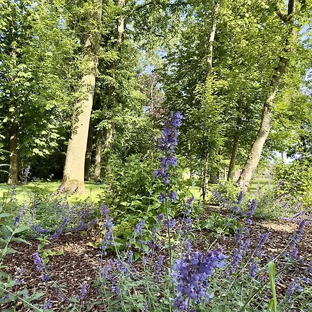 Gulfhof Butendiek - Groot Kostall * Neuharlingersiel